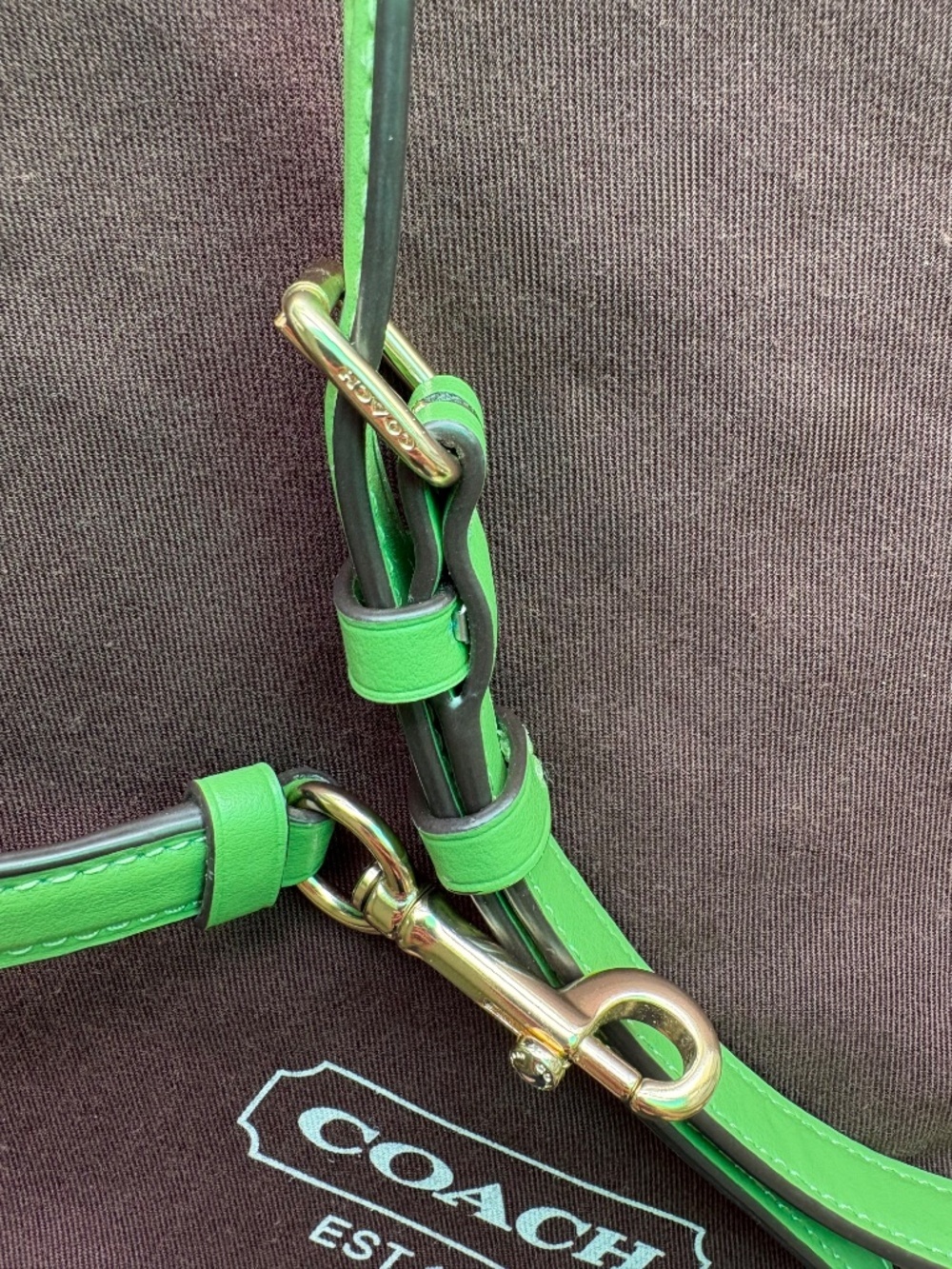NEW ๐ Coach Apple Green Leather Adjustable Crossbody Replacement Strap - Picture 9 of 15